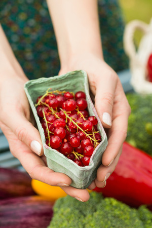 Hands holding carton of redcurrants with table of vegetables in backgroundの写真素材