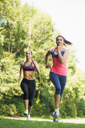 Two fit young friends jogging towards camera in a forestの写真素材