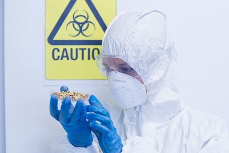 Close-up of a scientist in protective suit with sprouts in the laboratory