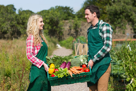 Young couple carrying vegetables in their garden smiling at each otherの写真素材