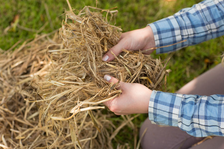 Young woman holding some straw wearing a check shirtの写真素材