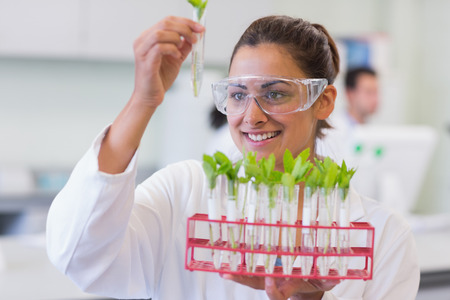 Close-up of a smiling female scientist analyzing young plants at the laboratoryの写真素材