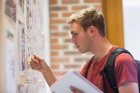 Handsome student studying notice board in school