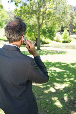 Rear view of businessman using cellphone in parkの写真素材