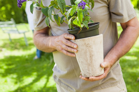 Close-up mid section of a man holding flower pot at the parkの写真素材