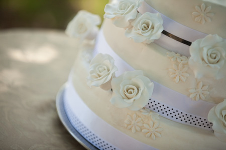 Detail shot of a wedding cake at the parkの写真素材