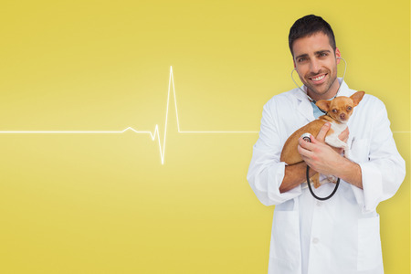 Vet holding chihuahua against medical background with ecg line in yellowの写真素材
