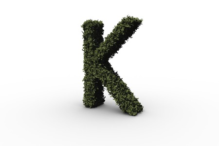 Letter k made of leaves on white backgroundの写真素材