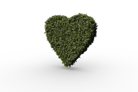 Heart made of leaves on white backgroundの写真素材