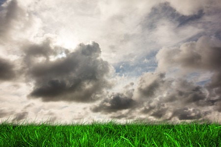 Digitally generated green grass under grey skyの写真素材