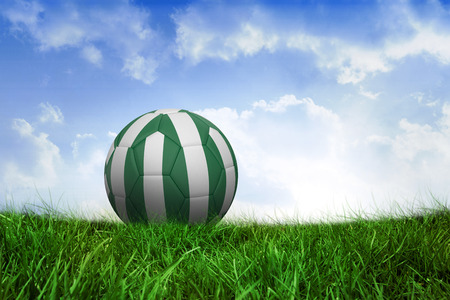 Football in nigeria colours on field of grass under blue skyの写真素材