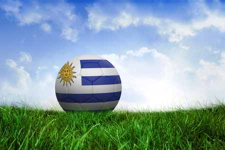 Football in uruguay colours on field of grass under blue skyの写真素材