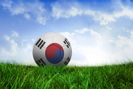 Football in south korea colours on field of grass under blue skyの写真素材