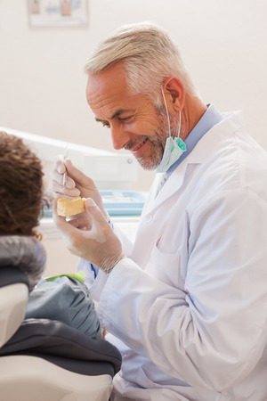 Dentist showing patient model of teeth at the dental clinicの写真素材