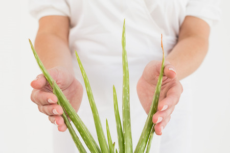Close up mid section of woman with aloe vera at spa centerの写真素材