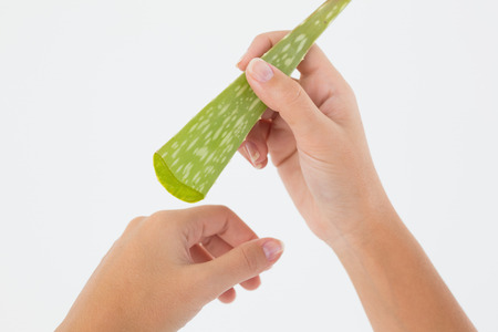 Close up of hands with aloe vera over white backgroundの写真素材