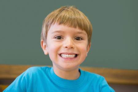 Cute pupil smiling at camera in classroom at the elementary schoolの写真素材