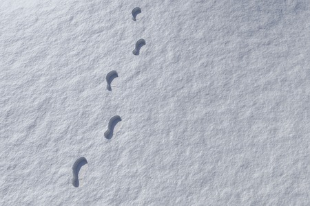 Footprints in snowy landscape with copy spaceの写真素材
