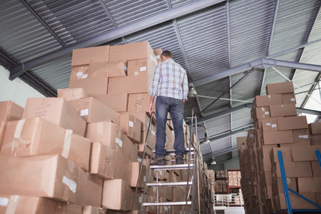 Rear view of a worker standing on ladder in the warehouse