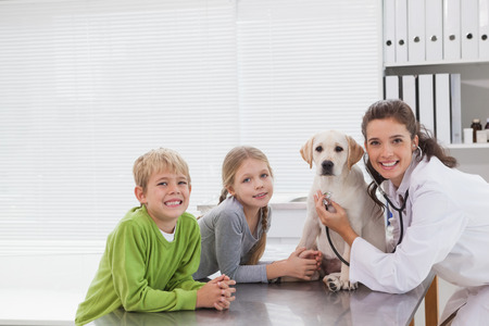 Smiling vet examining a dog with its owners in medical officeの写真素材