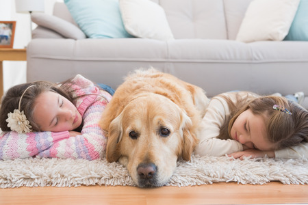 Sisters napping on rug with golden retriever at home in the living roomの写真素材