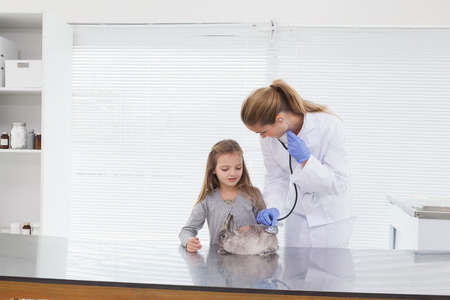 Vet examining a bunny rabbit with its owner