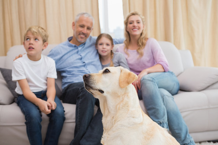Parents and their children on sofa with puppy at home in the living roomの写真素材