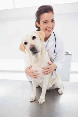 Happy veterinarian examining a cute dog in medical officeの写真素材