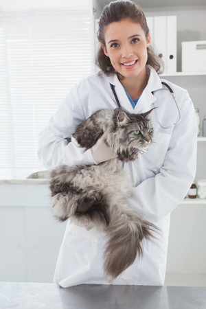 Smiling vet with a maine coon in her arms in medical officeの写真素材