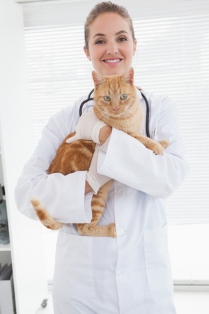 Vet holding an adorable cat in her officeの写真素材