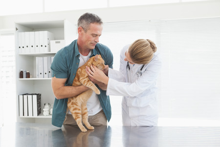 Owner holding his cat as vet examines it in her officeの写真素材