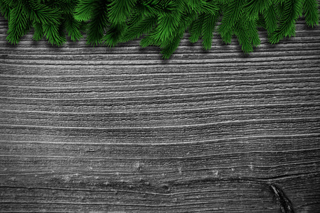 Fir branches on wooden planks with copy spaceの写真素材