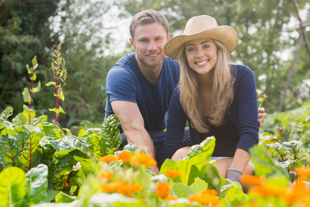 Cute couple gardening on sunny day at home in the gardenの写真素材