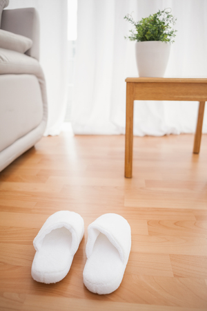 Fluffy slippers on the floor  at home in the living roomの写真素材