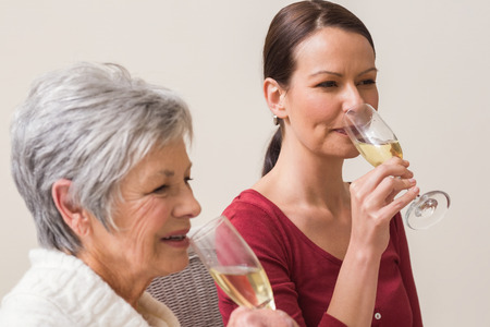 Portrait of women drinking champagne  at home in the living roomの写真素材