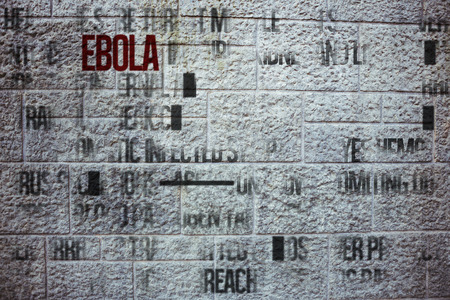 Ebola word cluster against grey brick wall
