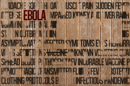 Ebola word cluster against wooden surface with planksの写真素材