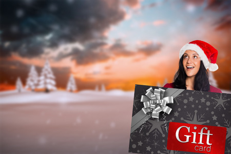 Woman holding a white sign against snowy landscape with fir treesの写真素材