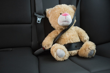 Teddy bear strapped in with seat belt in back seat of carの写真素材