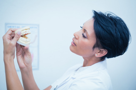 Side view of female dentist looking at mouth modelの写真素材