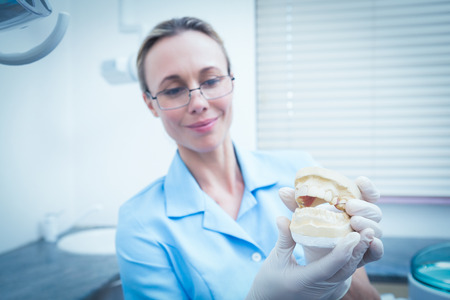 Concentrated female dentist looking at mouth modelの写真素材
