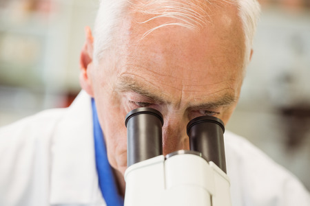 Senior scientist working with microscope at the university