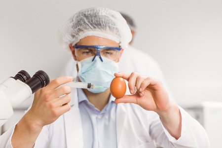 Food scientist injecting an egg at the universityの写真素材