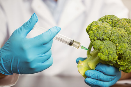 Food scientist injecting head of broccoli at the universityの写真素材