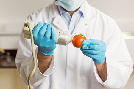 Food scientist using device on tomato at the universityの写真素材
