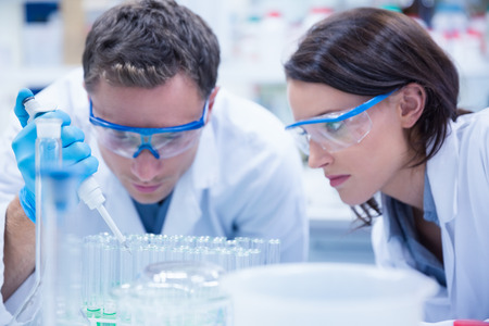 Chemist team working with pipette and test tube in the laboratory