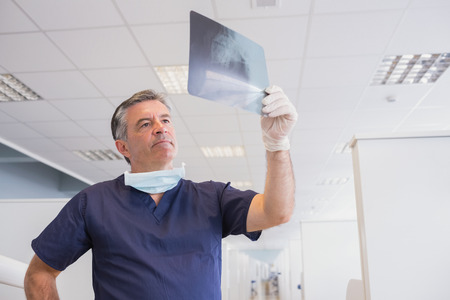 Dentist examining a x-ray attentively in dental clinic