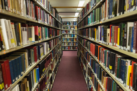Volumes of books on bookshelf in library at the universityのeditorial素材