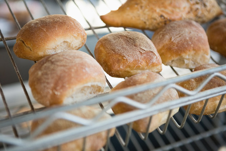 Freshly baked rolls on rack at the bakery