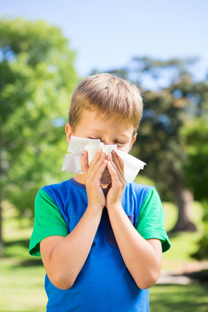 Little boy blowing his nose on a sunny dayの写真素材